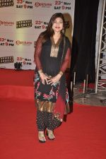 Alka Yagnik at Chennai Express success bash in Mumbai on 6th Nov 2013